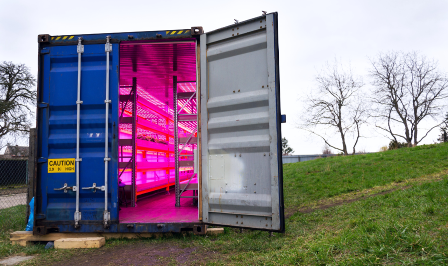 Start Your Own Shipping Container Farm