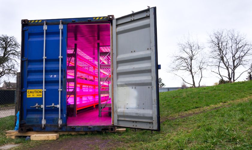 shipping container farms